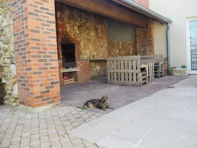 Animal ou animaux domestique(s) séjournant avec des clients dans l'établissement Gîte de l'écurie