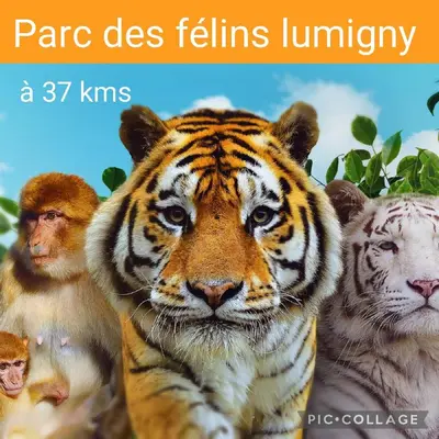 Animaux dans l'appartement ou à proximité