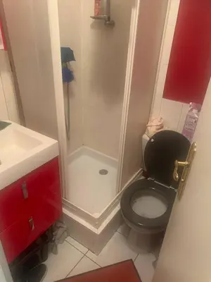 Salle de bains dans l'établissement Jolie studio meublé tout équipé