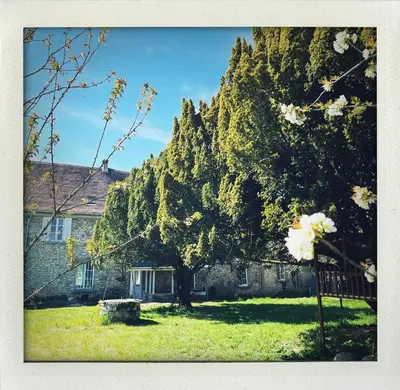 Jardin de l'établissement Chambres d'hôtes de la Maison de Chaalis