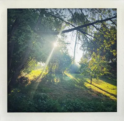 Jardin de l'établissement Chambres d'hôtes de la Maison de Chaalis