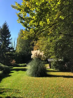 Jardin de l'établissement Maison cocooning avec magnifique jardin