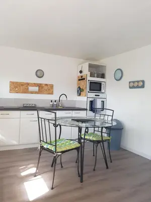 Cuisine ou kitchenette dans l'établissement Odyssée-Le Nautile