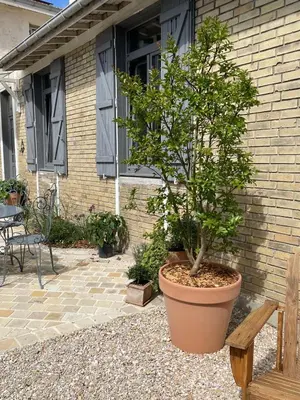 Jardin de l'établissement Deux pièces avec terrasse, vue jardin