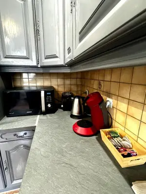 Cuisine ou kitchenette dans l'établissement Maison familiale Vintage à Meaux