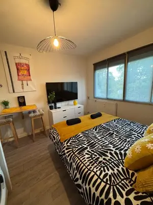 Télévision ou salle de divertissement dans l'établissement Avenue de Champagne 1 Chambre