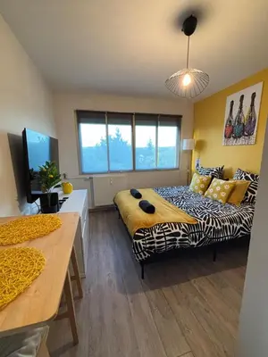 Télévision ou salle de divertissement dans l'établissement Avenue de Champagne 1 Chambre