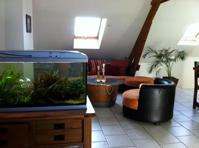 Coin salon dans l'établissement Grand Appartement Chill