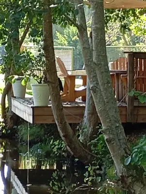 Jardin de l'établissement Cabane au bord de l'eau Electricité 12v Pêche à la batterie interdite