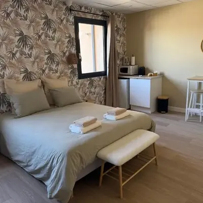 Suite du Spa 3 - Parking Privé Gratuit à Reims