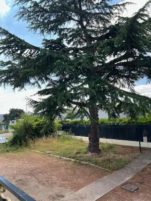 Plan de l'établissement Studio Platanes 8 - Proche Disneyland - Parking gratuit - Meaux