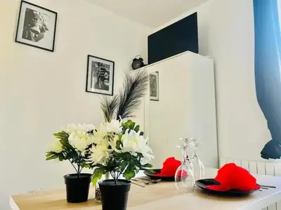 Télévision ou salle de divertissement dans l'établissement Tulipe 14 cocon romantique proche centre-ville