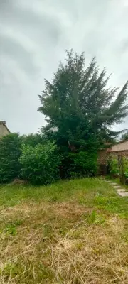 Jardin de l'établissement Le petit chai