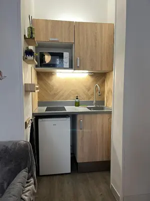 Cuisine ou kitchenette dans l'établissement Charmant studio cosy à 5 min du centre d'Épernay