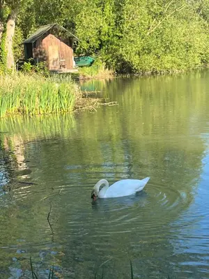 Vue sur la rivière ou le fleuve situé(e) à proximité de le B&B/chambre d'hôtes