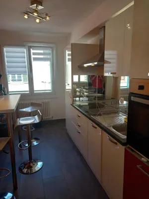 Cuisine ou kitchenette dans l'établissement L'Escale champenoise 2 wifi and parking free