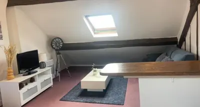 Télévision ou salle de divertissement dans l'établissement MEAUX Centre Henri IV Vue CATHEDRALE Exeptionnelle