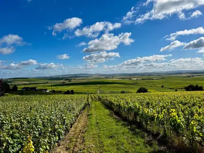 Paysage naturel près de la maison d'hôtes