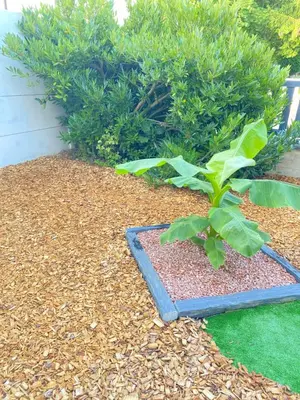 Jardin de l'établissement La Logette