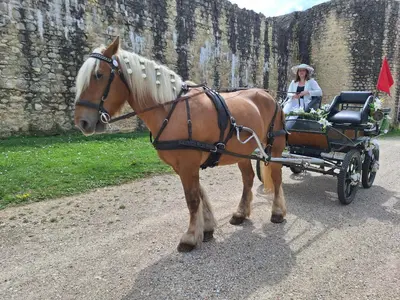 Clients de l'établissement Gîte et chevaux