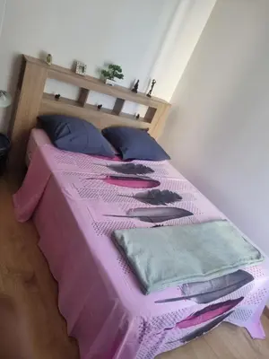Un ou plusieurs lits dans un hébergement de l'établissement Apparemment deux chambres