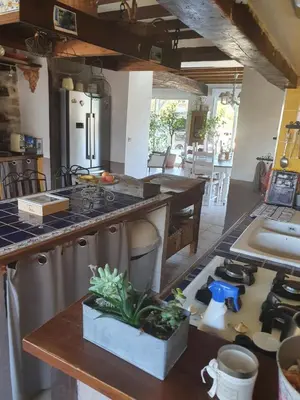 Cuisine ou kitchenette dans l'établissement Gite Saint Martin du Boschet, 1h15 de Paris