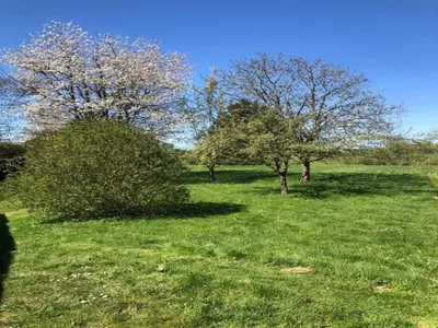 Jardin de l'établissement Glamping in Signy-l Abbaye