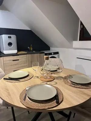 Cuisine ou kitchenette dans l'établissement Cocon Bourbon