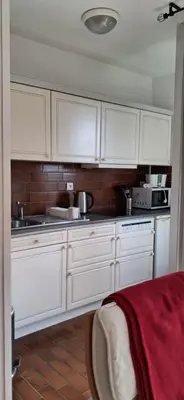 Cuisine ou kitchenette dans l'établissement Rosso hyper centre