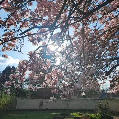 Jardin de l'établissement Au Coeur du Verger