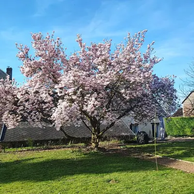 Jardin de l'établissement Au Coeur du Verger