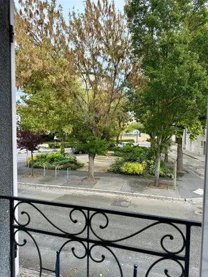 Jardin de l'établissement Maison cosy pour 2 à Crépy, véranda et jardin