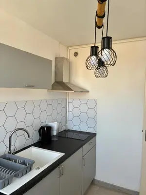 Cuisine ou kitchenette dans l'établissement appartement 30m2 spatieux et lumineux