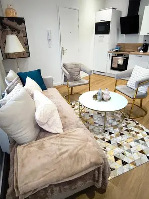Cuisine ou kitchenette dans l'établissement Appartement Cosy Centre Ville De Reims