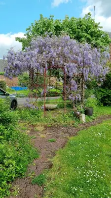 Jardin de l'établissement Le petit Château Avesnois - Studio avec terrasse vue sur le jardin