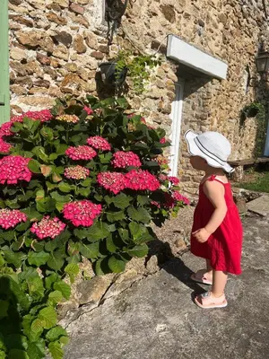 Jardin de l'établissement Grande maison avec piscine 13 couchages proche Paris