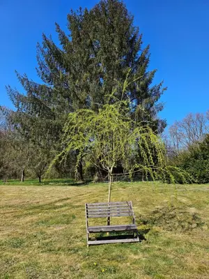 Jardin de l'établissement Chalet près du lac