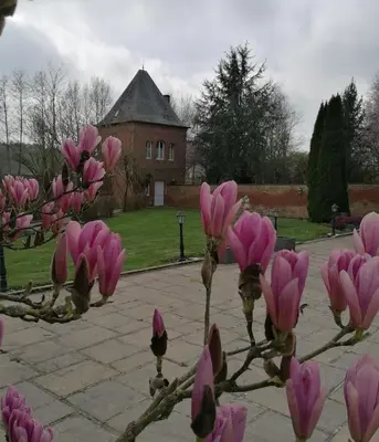 Jardin de l'établissement Le Château d'Ognies