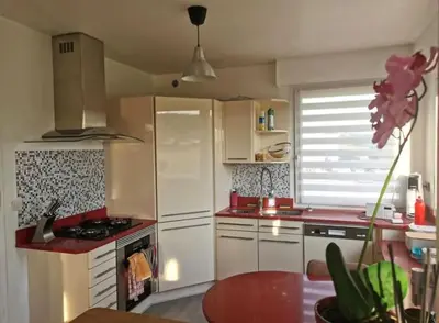 Cuisine ou kitchenette dans l'établissement L'appart du bonheur à Reims