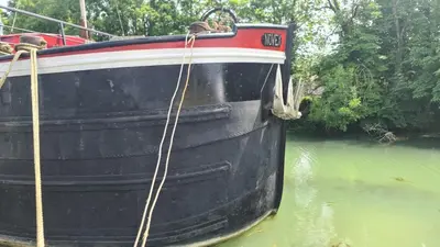 Vue sur la rivière ou le fleuve situé(e) à proximité de le B&B/chambre d'hôtes