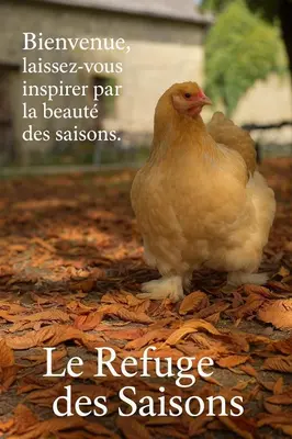 Plan de l'établissement Le Refuge Des Saisons
