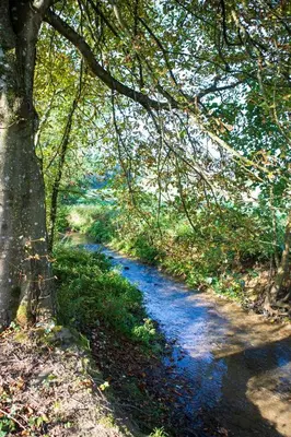 Paysage naturel près de la maison de vacances