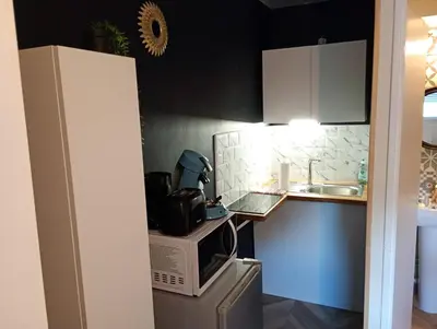 Cuisine ou kitchenette dans l'établissement studio neuf champ de mars 18
