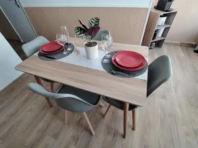 Plan de l'établissement Grand appartement familial 47m2 au 1er etage