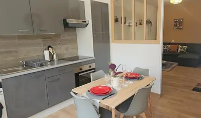 Cuisine ou kitchenette dans l'établissement Grand appartement familial 47m2 au 1er etage