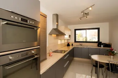 Cuisine ou kitchenette dans l'établissement Villa D'Aÿ-Champagne