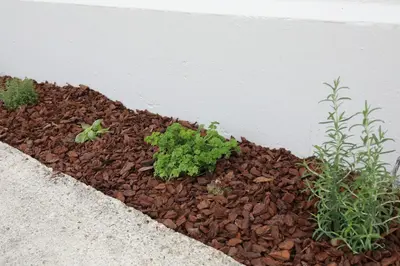 Plan de l'établissement La Ptite Maison Ardennaise