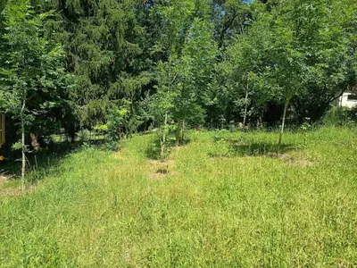 Jardin de l'établissement Chez Jean-Pierre