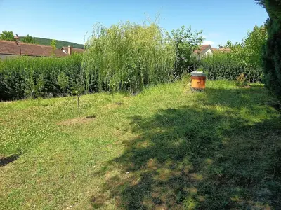 Jardin de l'établissement Chez Jean-Pierre