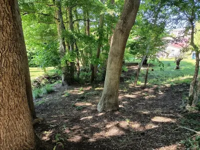 Jardin de l'établissement Chez Jean-Pierre